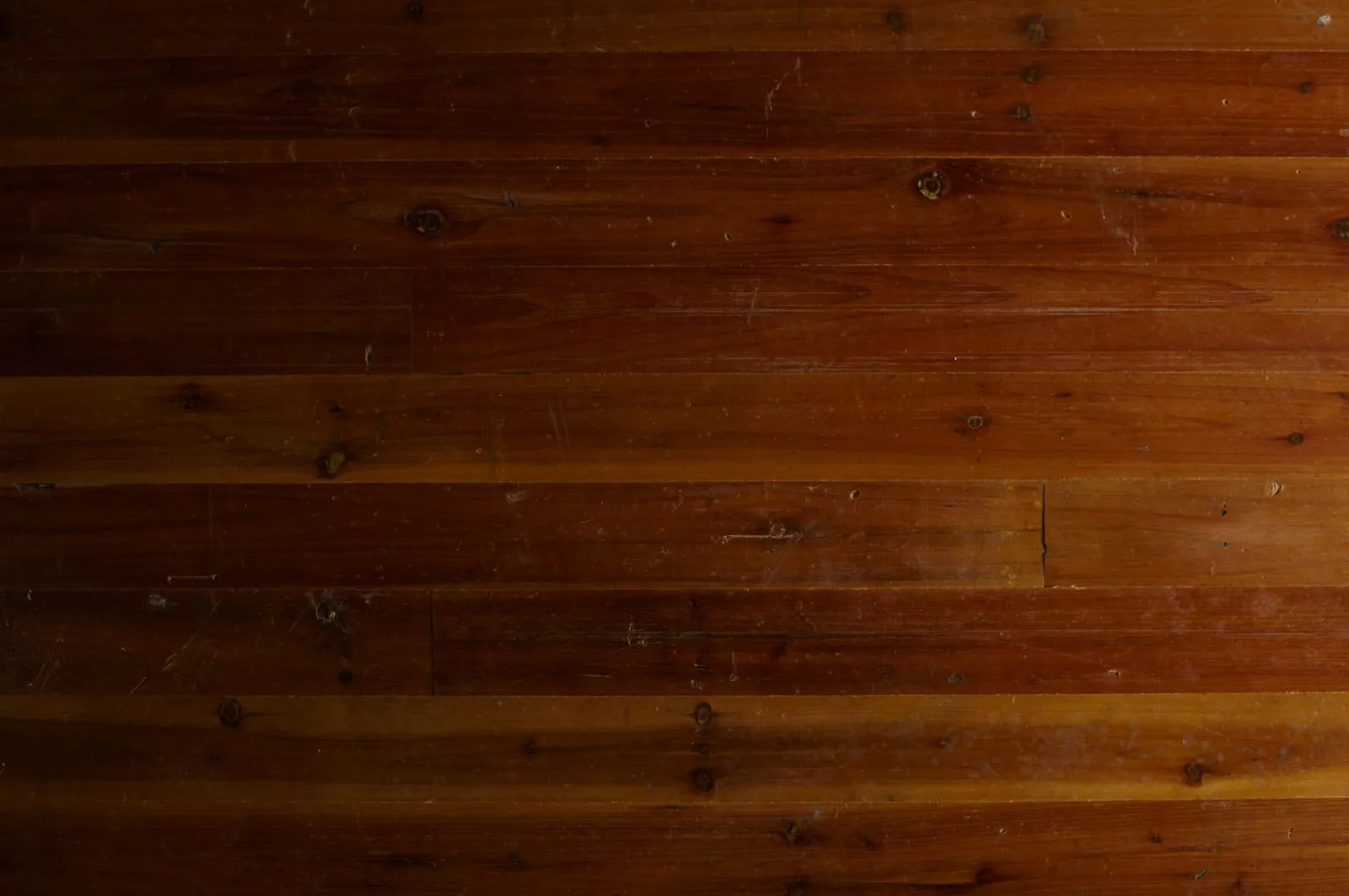 Anthropology Oriental Reclaimed floor