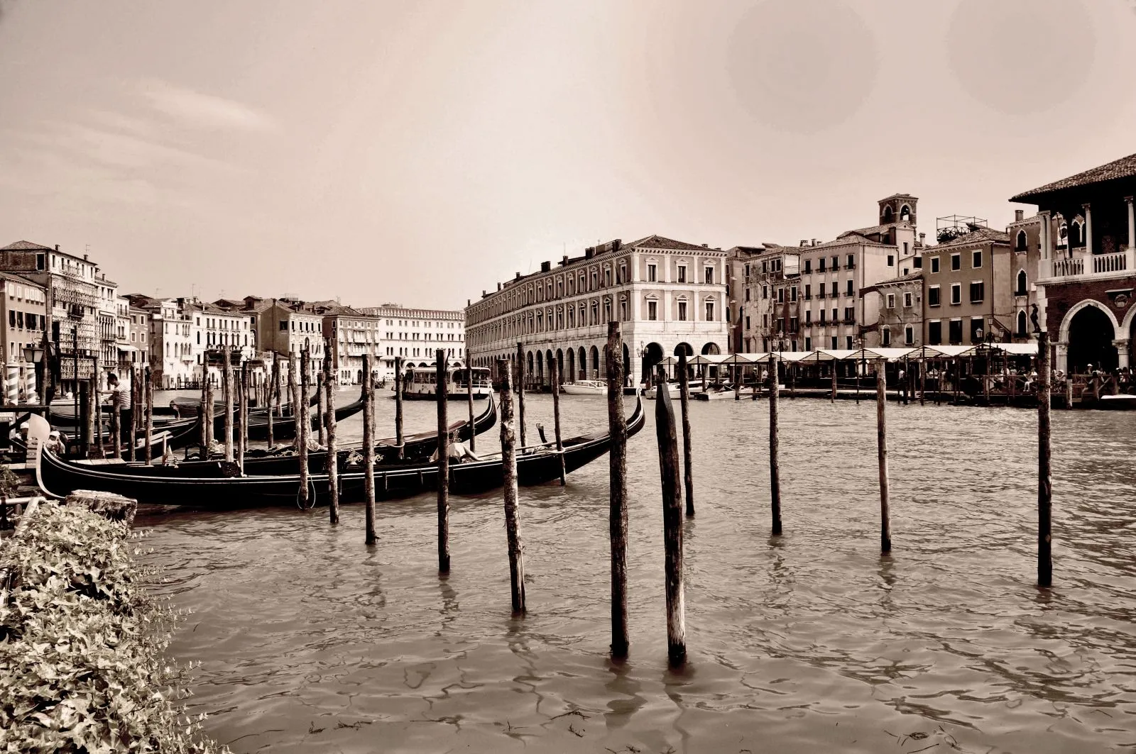 imondi x Reclaimed丨The Story of "VENICE"