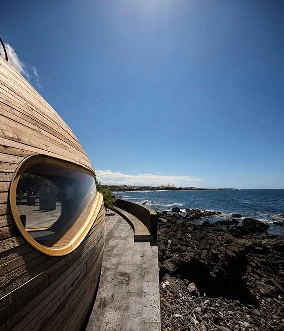 A Whale of a Time with Interior Design