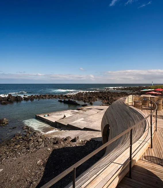A Whale of a Time with Interior Design
