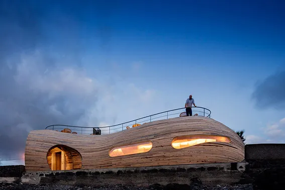 A Whale of a Time with Interior Design