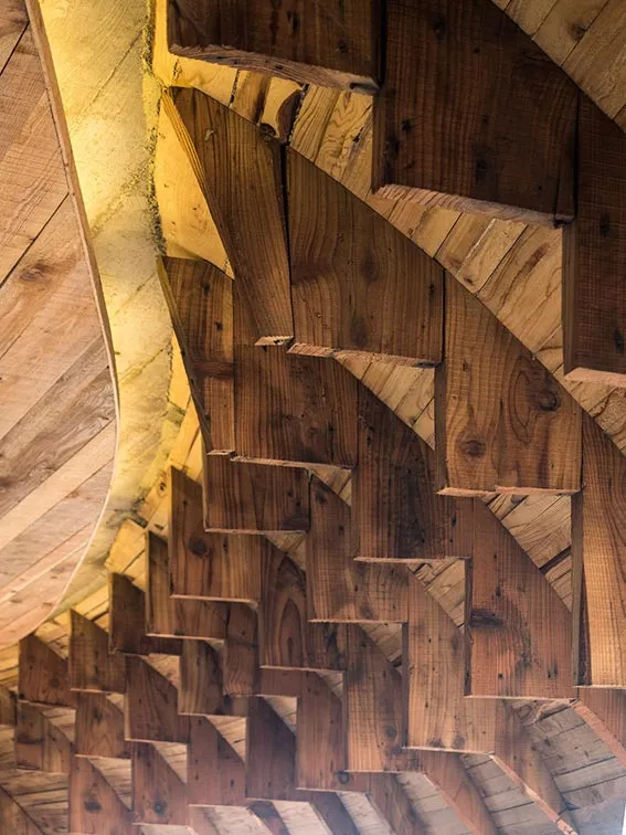 A Whale of a Time with Interior Design