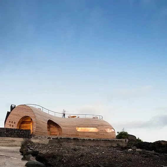 A Whale of a Time with Interior Design