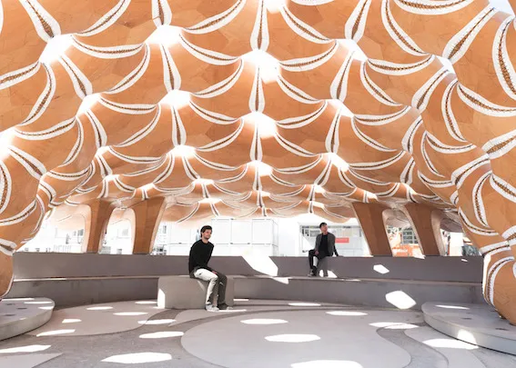 The Potential Of New Design Products