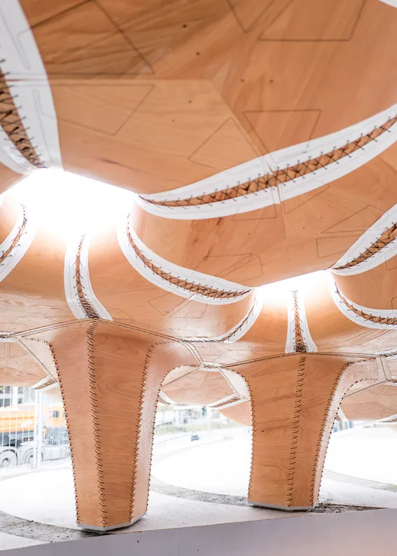 The Potential Of New Design Products