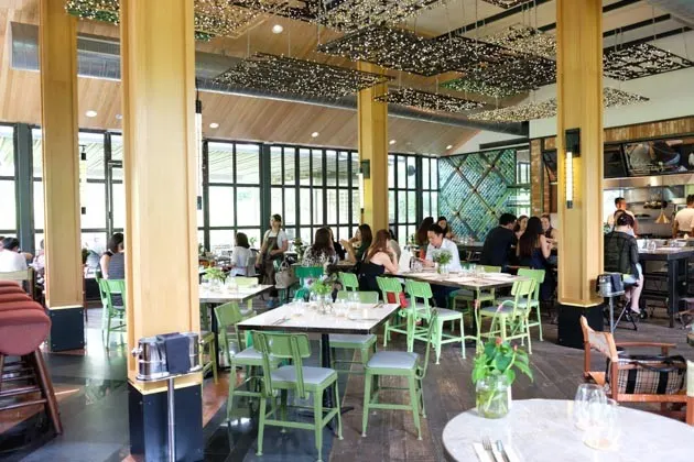 imondi x project: Open Farm Community, Singapore