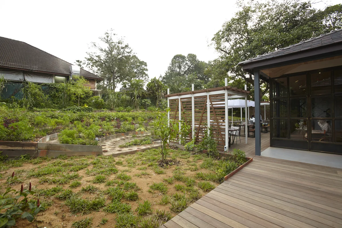imondi x project: Open Farm Community, Singapore