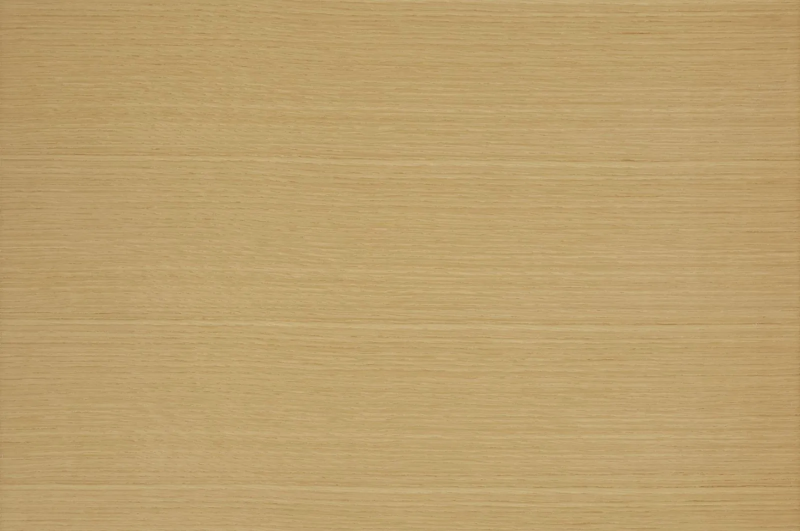 Aurelian W & Muse floor