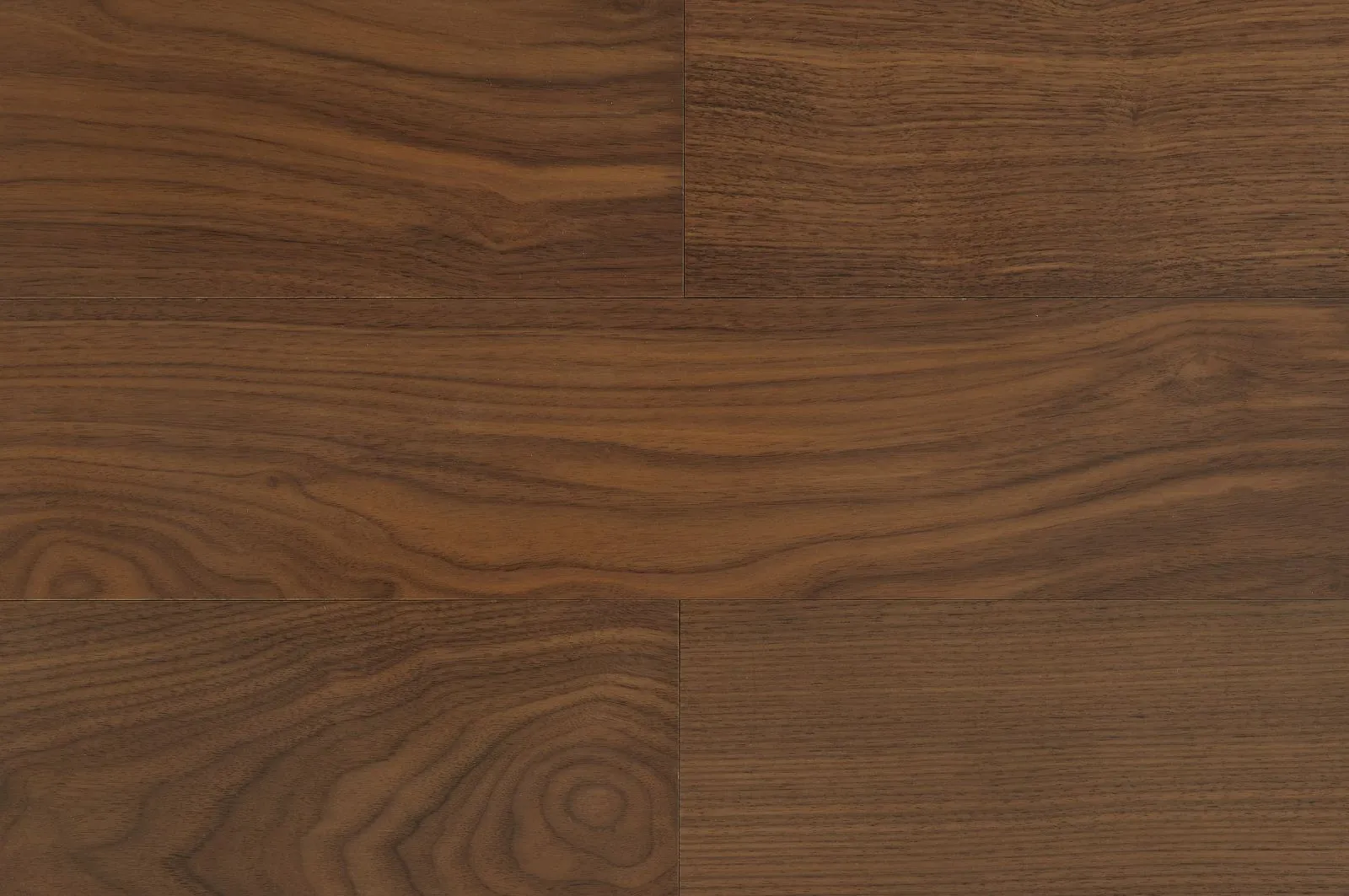 Cytherea W & Muse floor