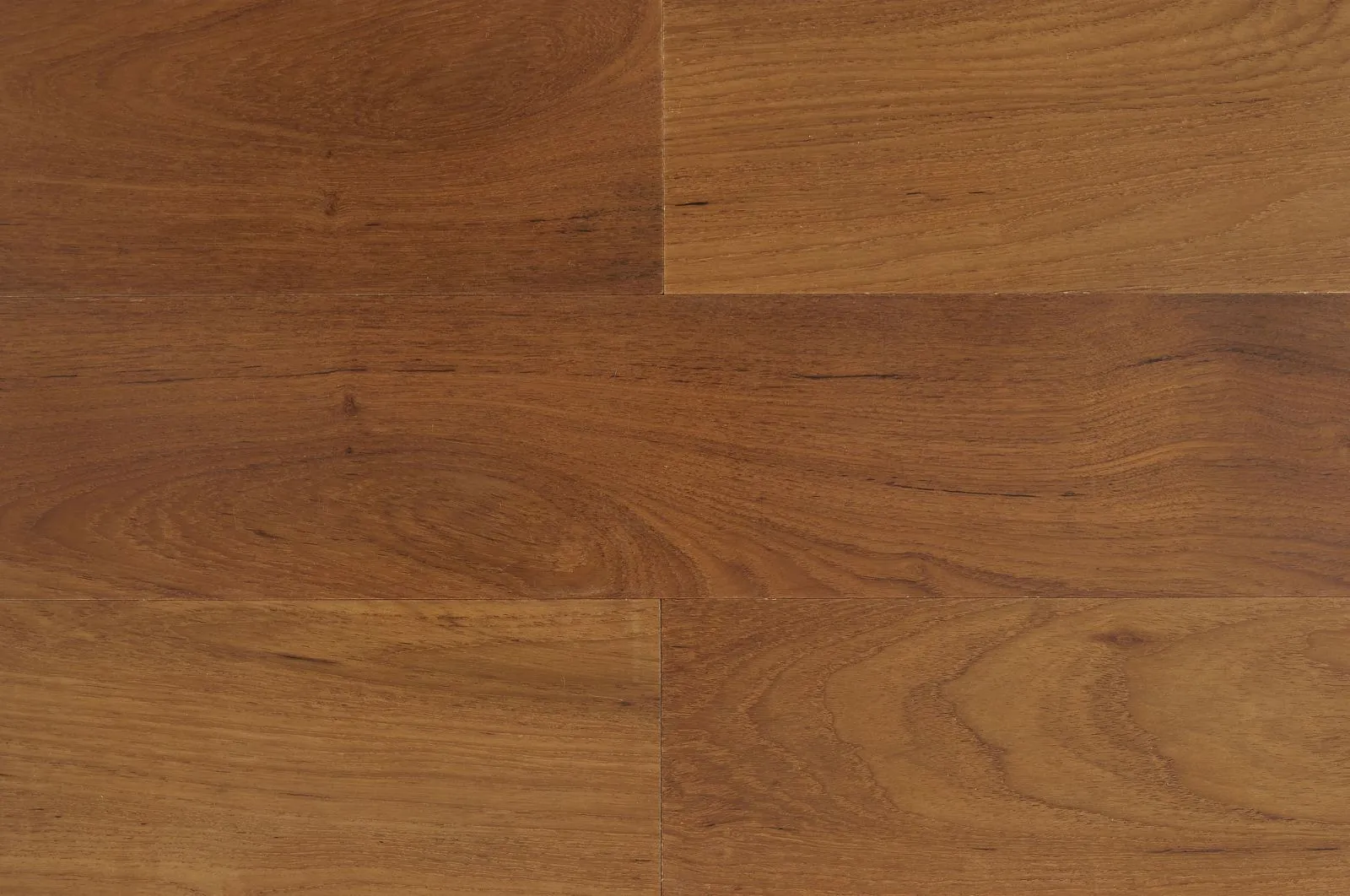Eos W & Muse floor