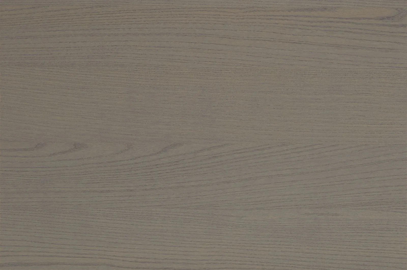 STON W & Muse floor
